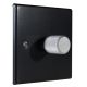 Matt Black 1G 2W LED  Dimmer Switch with Satin Silver Retro Knob