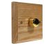 Wood 1 Gang Fan Control Dimmer Switch in Ash with Polished Brass dimmer cap