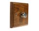 Wood 1 Gang 2Way Push on/Push off LED Dimmer in Medium Oak with Satin Stainless dimmer cap