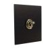 Penland 1G Intermediate  Matt Toggle Switch in Brushed Aluminium Matt Black with Antique Brass toggle